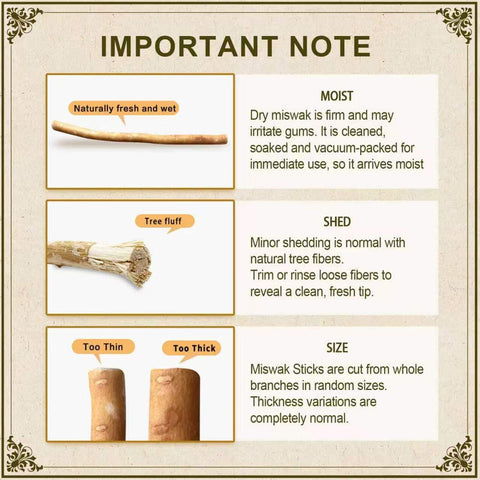 Miswak Sticks for Teeth Pack of 6 - Vacuum Sealed Traditional Sewak Natural Miswak Toothbrush - for Healthy Teeths,Gums and Fresh Breath